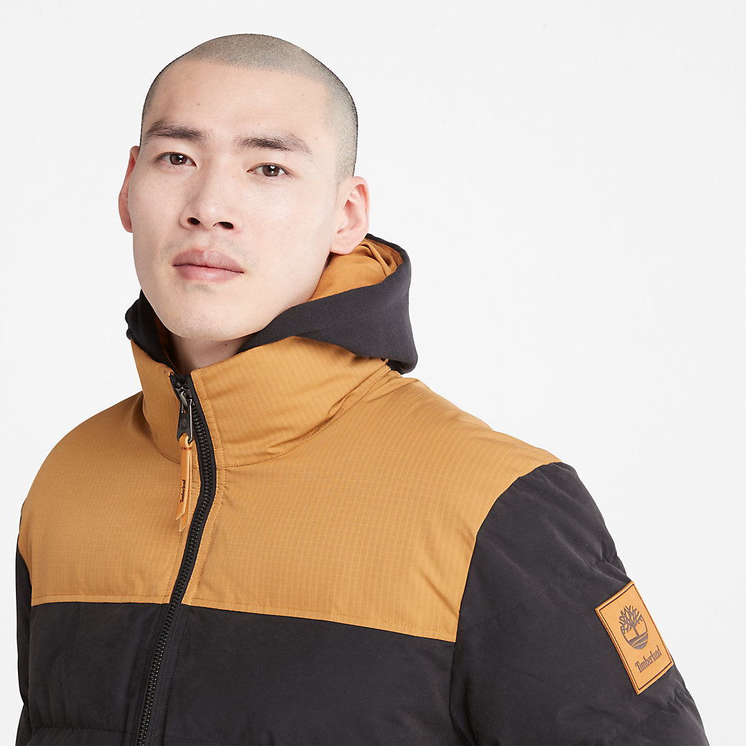 Mens Welch Mountain Puffer Jacket for Men in Black - Timberland