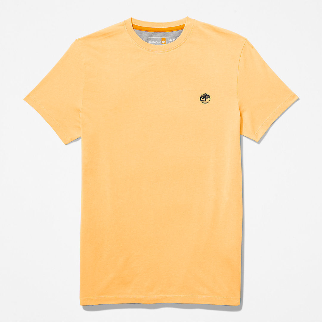 Mens Dunstan River T-Shirt for Men in Yellow - Timberland
