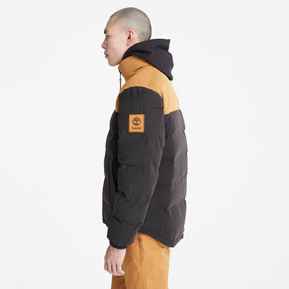 Mens Welch Mountain Puffer Jacket for Men in Black - Timberland