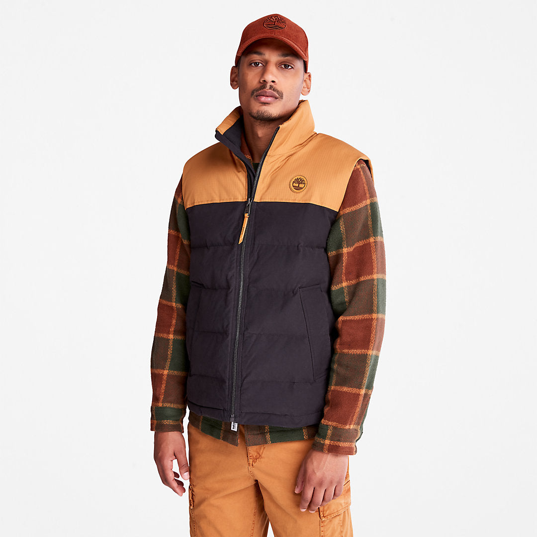 Mens Welch Mountain Puffer Vest for Men in Black - Timberland
