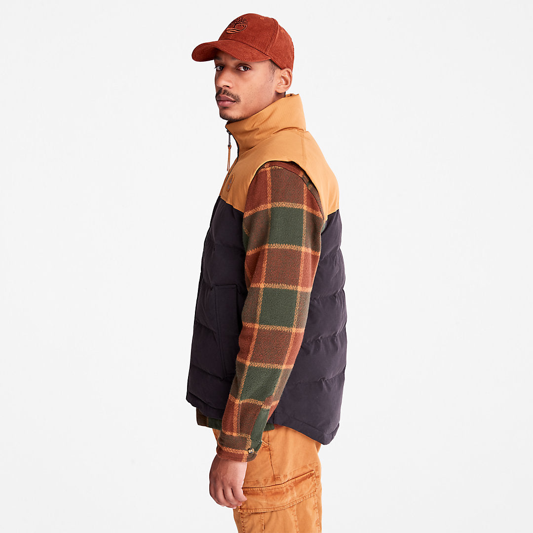 Mens Welch Mountain Puffer Vest for Men in Black - Timberland