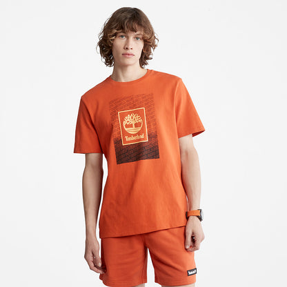 Orange,XXS,48