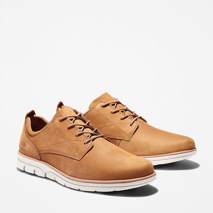Mens Bradstreet Sneaker for Men in Brown - Timberland