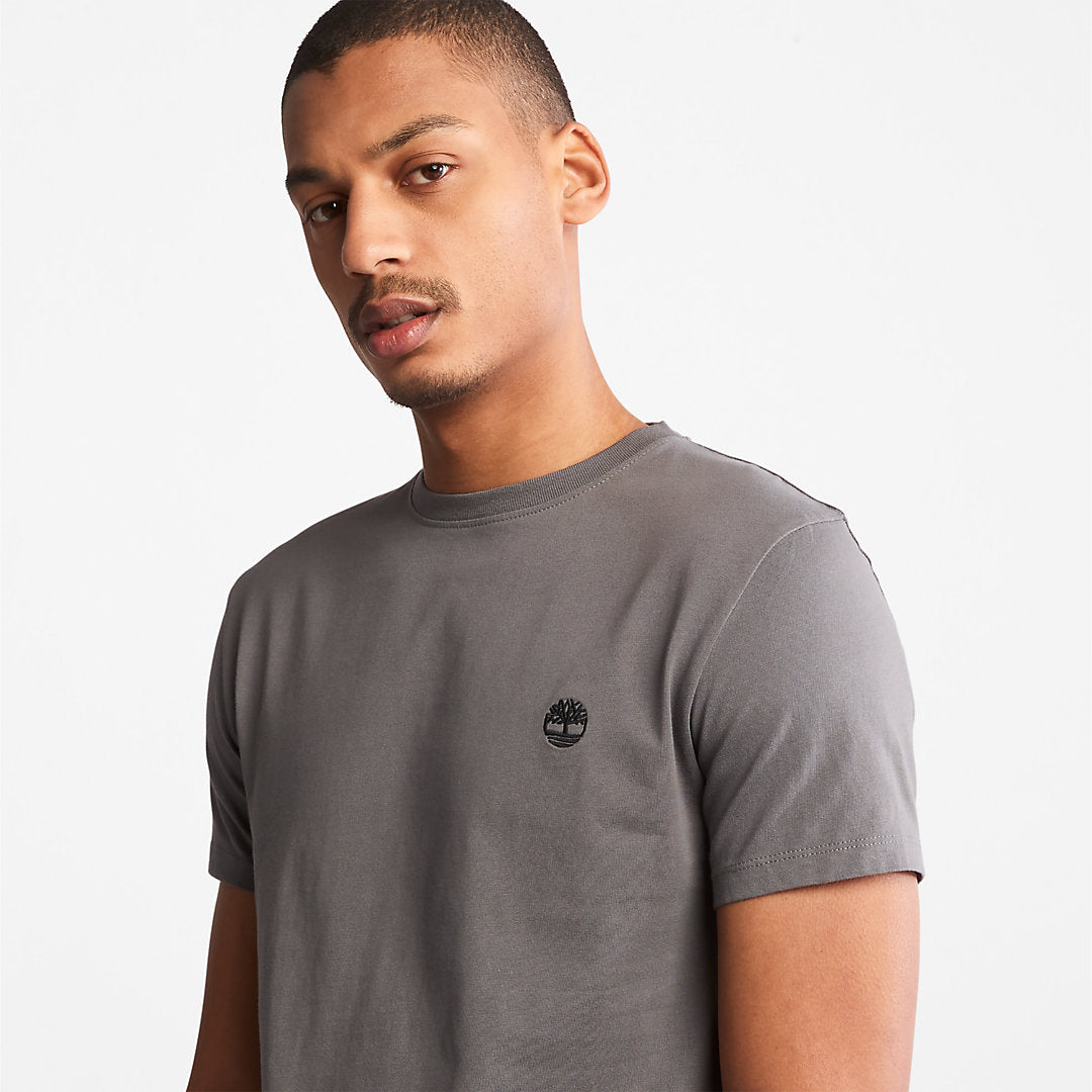 Mens Dunstan River T-Shirt for Men in Grey - Timberland