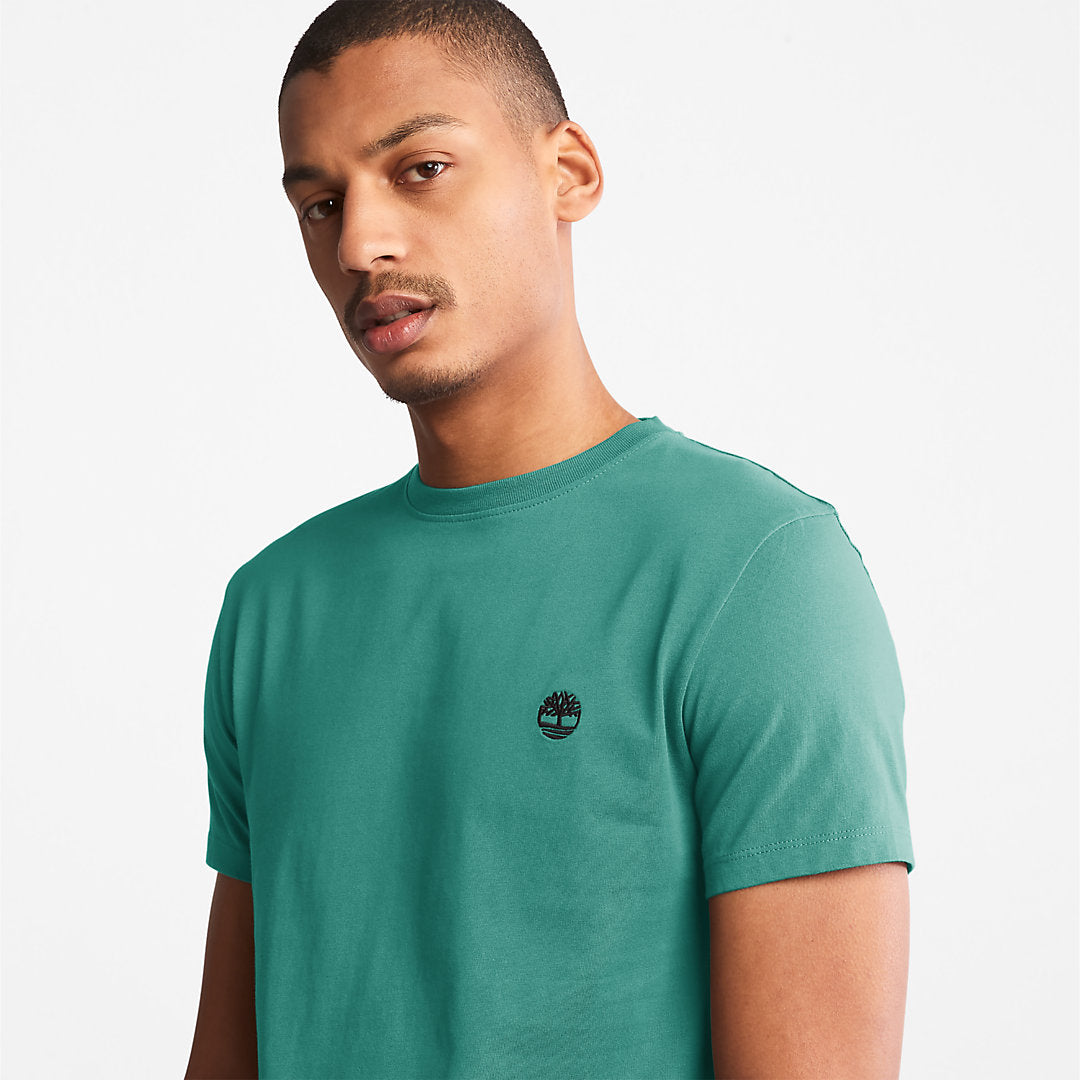 Mens Dunstan River T-Shirt for Men in Green - Timberland