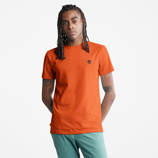 Mens Dunstan River T-Shirt for Men in Orange - Timberland