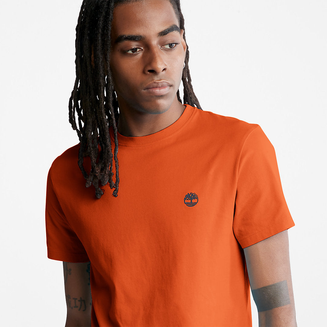Mens Dunstan River T-Shirt for Men in Orange - Timberland