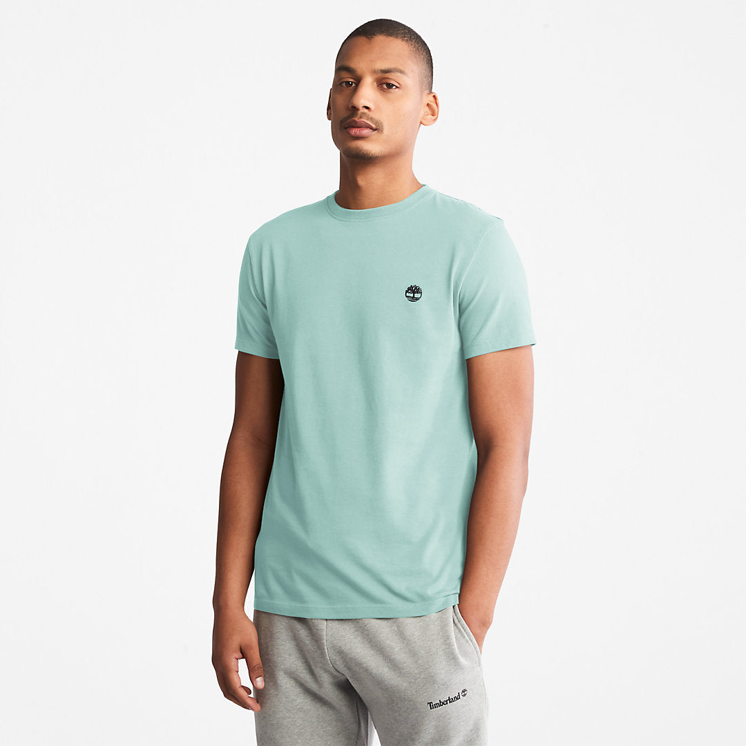 Mens Dunstan River T-Shirt for Men in Light Green - Timberland
