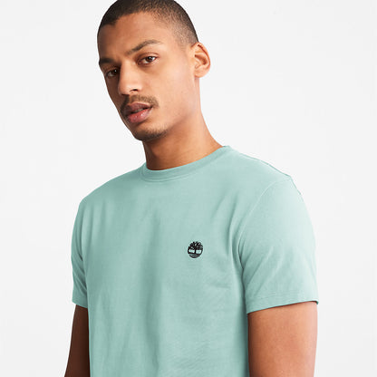 Mens Dunstan River T-Shirt for Men in Light Green - Timberland