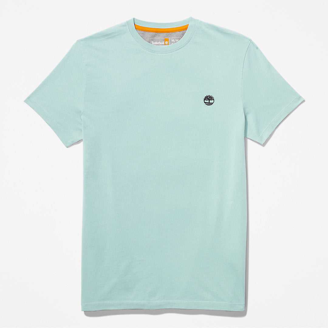 Mens Dunstan River T-Shirt for Men in Light Green - Timberland