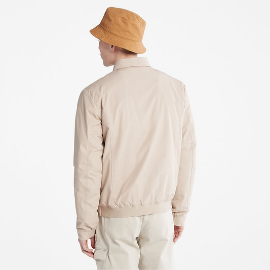 Mens Men's Stratham Winter Bomber Jacket in Beige - Timberland
