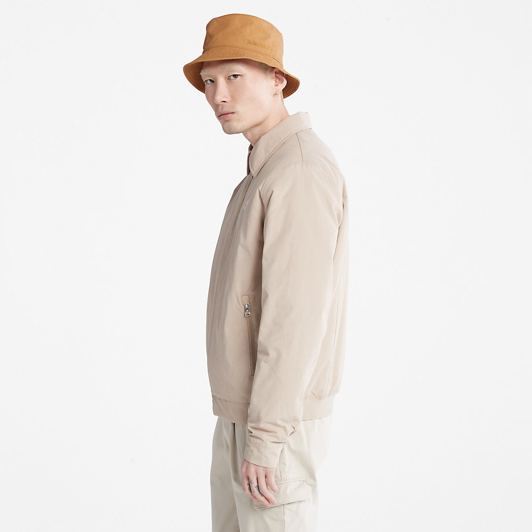 Mens Men's Stratham Winter Bomber Jacket in Beige - Timberland