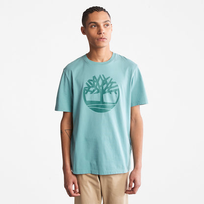 Teal,XXS,34