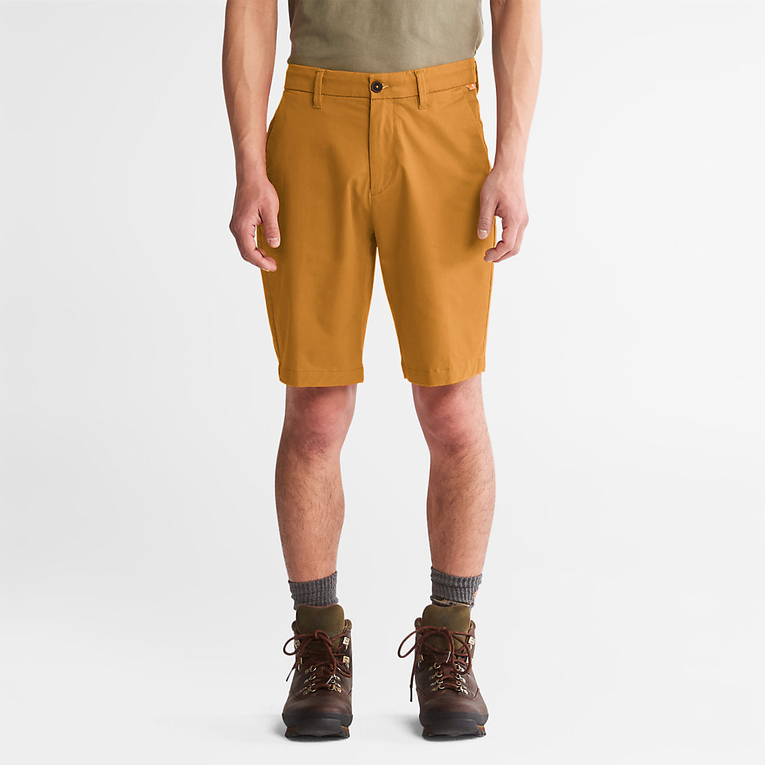 Dark Yellow,28,88
