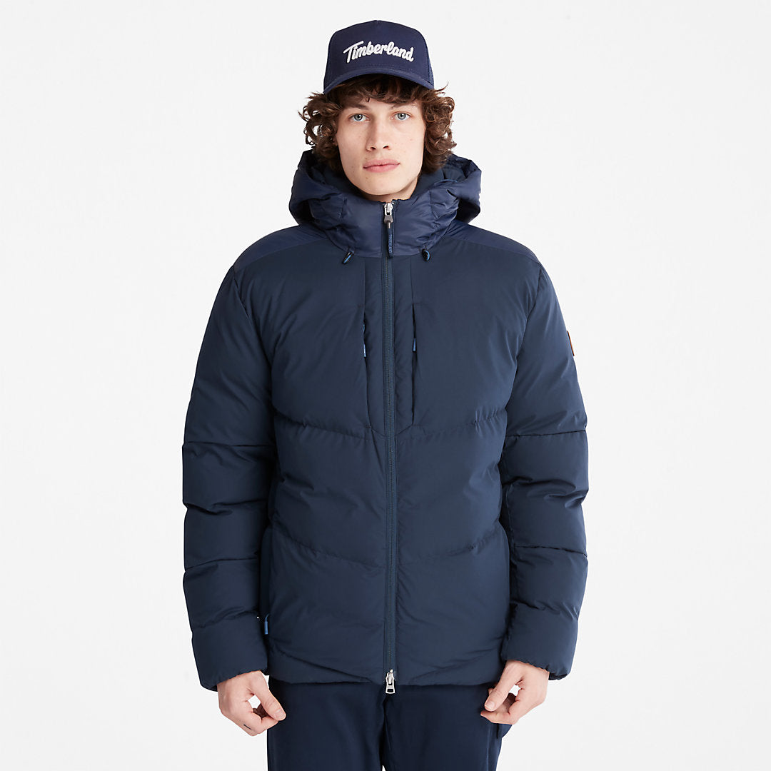 Navy,XXS,251