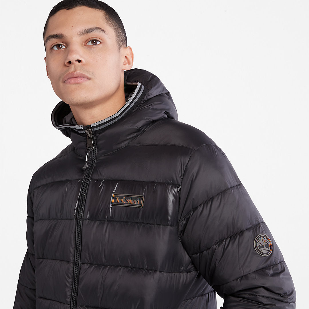 Mens Garfield Hooded Puffer Jacket for Men in Black - Timberland
